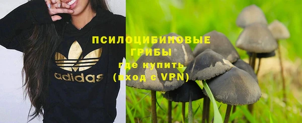 тгк Ладушкин