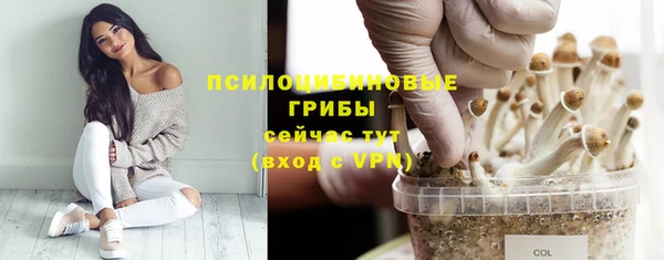 тгк Ладушкин