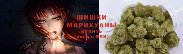 винт Липки