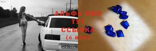 прущие грибы Лиски