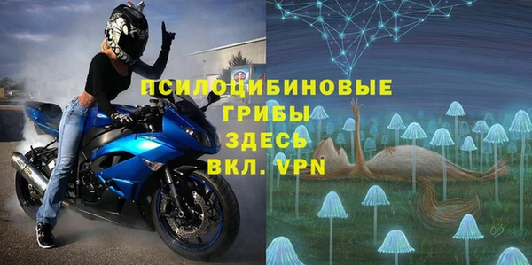 трава Лабытнанги