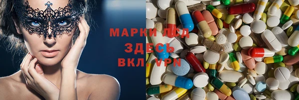 трава Лабытнанги