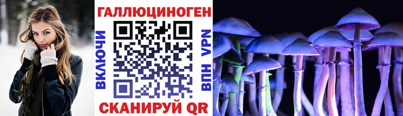 Галлюциногенные грибы Magic Shrooms  Купить  Первомайск 